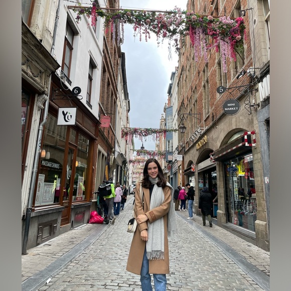 Aritzia Babaton The Stedman Coat - Picture 11 of 12